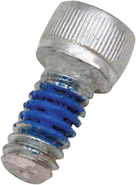 Replacement Air Cleaner Screw