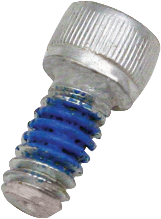 Replacement Air Cleaner Screw