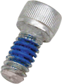 Replacement Air Cleaner Screw