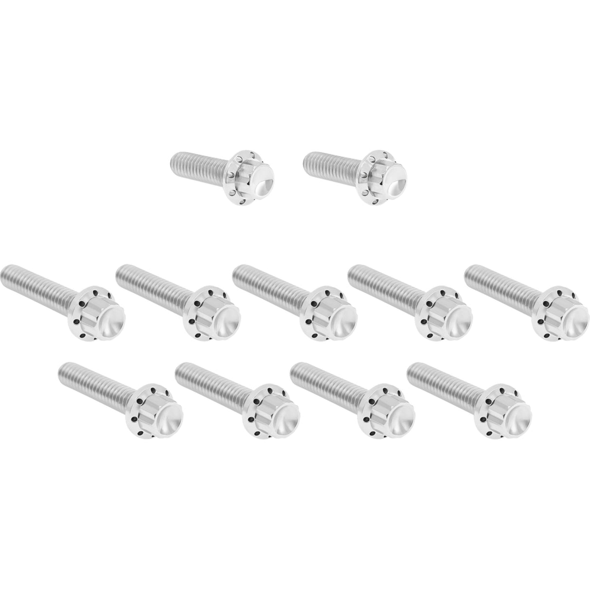Arlen Ness Cam Cover Point Cover Titanium 12-Point Bolt Kit Polished - 300-980 For Harley Road Glide / Touring / Softail / Street Glide 2023-2026