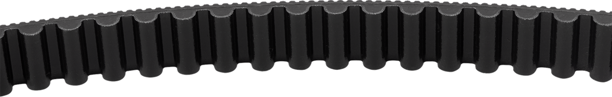 Drive Belt - 134 Tooth - 24 mm - M8 Softail - 1204-0253