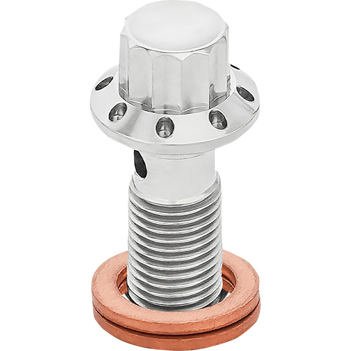 Arlen Ness Titanium 12-Point Banjo Bolt 3/8"-24 Polished - 300-824 For Harley Touring 2000-2007