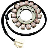 Rick's Motorsport Electric Stator - 21-248 Kawasaki Ninja 2019-2023