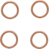 Magnum Shielding E-Z Align Series Brake Line - 46844SW For Harley Street 2015-2020