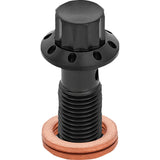 ARLEN NESS 1742-0777 300-825 Titanium 12-Point Banjo Bolt Banjo Bolt - 3/8"-24 - Black