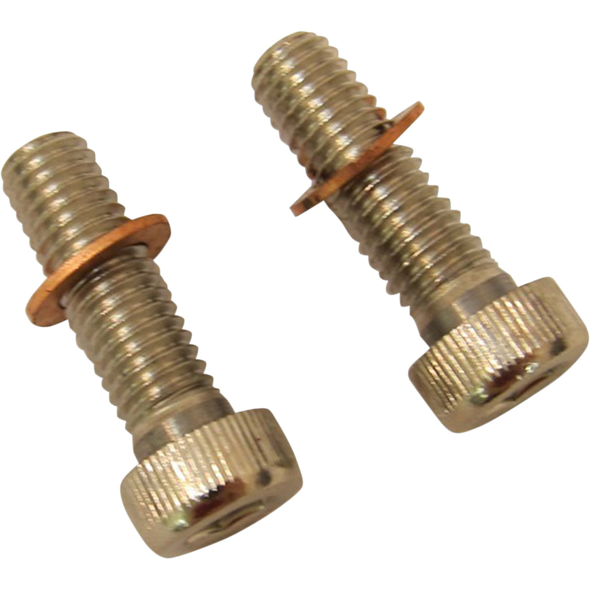 DRAG SPECIALTIES 2401-0851 Fork Tube Damper Mount Kit Screws with/Washers - Damper Tube