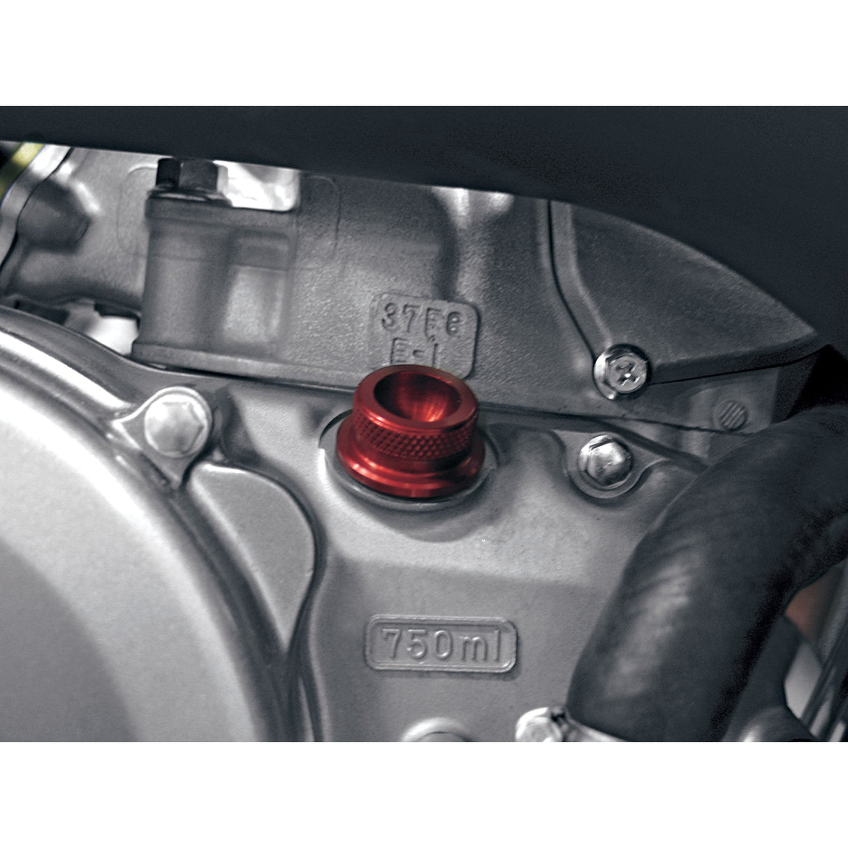 Pingel Cap - 62300 Kawasaki KLX400R / KLX400SR / KX 250 2003-2009