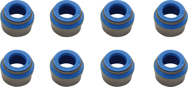 Valve Guide Seals