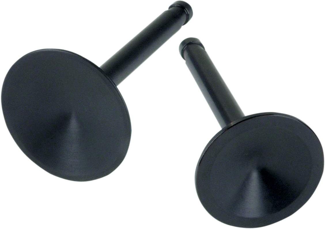 Replacement Valves