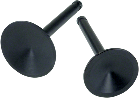 Replacement Valves