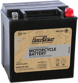 Harddrive High Perform Battery YTX24HL CCA 350 - HRDM7250H For Harley Electra Glide / Tour / Touring 1985-1996 | TM (17/14) 2004