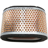 HIFLOFILTRO 1011-3847 HFA6503 Replacement Air Filter triumph