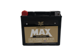 Twin Power GYZ-20H Premium MAX Battery Replaces H-D 65991-82B Made In USA 320 CCA - 485021 For Harley 1974-1996