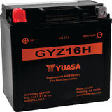 Yuasa Battery YUAM716GH Yuasa GYZ16H High Performance Maintenance Free AGM 12-Volt Battery