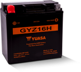 Yuasa Battery YUAM716GH Yuasa GYZ16H High Performance Maintenance Free AGM 12-Volt Battery