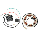 RICK'S MOTORSPORT ELECTRIC 2112-0254 99-101 High-Output Charging Kit Charging Kit - Honda
