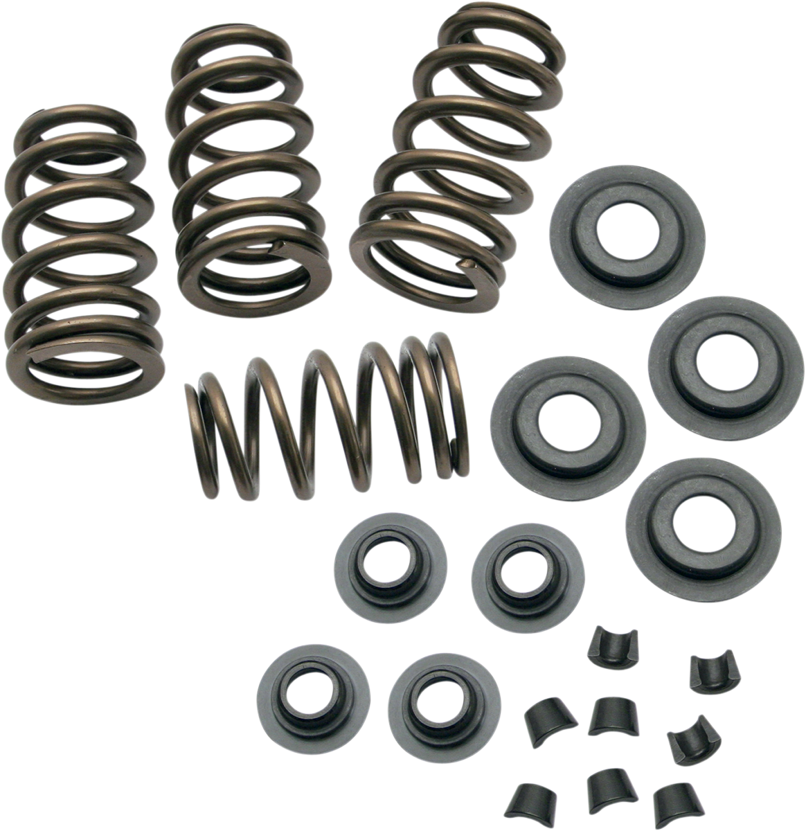 Sidewinder® .650" Valve Spring Kit