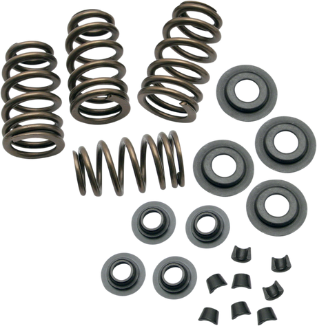 Sidewinder® .650" Valve Spring Kit