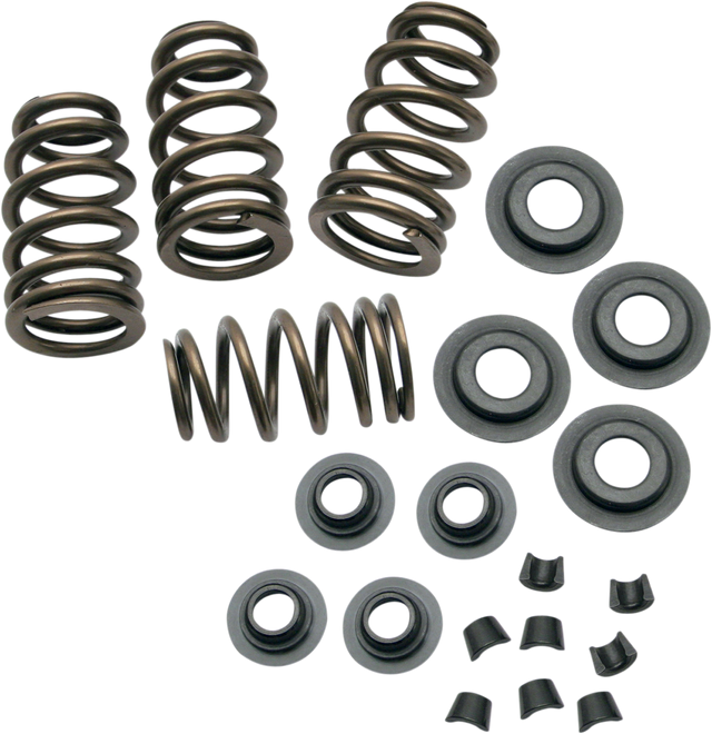 Sidewinder® .650" Valve Spring Kit