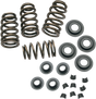 Sidewinder® .650" Valve Spring Kit