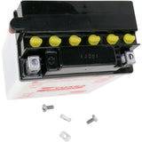 YUASA YB12C-A YUAM222CA Conventional Battery — 12 V Battery - YB12C-A