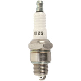AUTOLITE AU-4123 4123 Spark Plug #4123