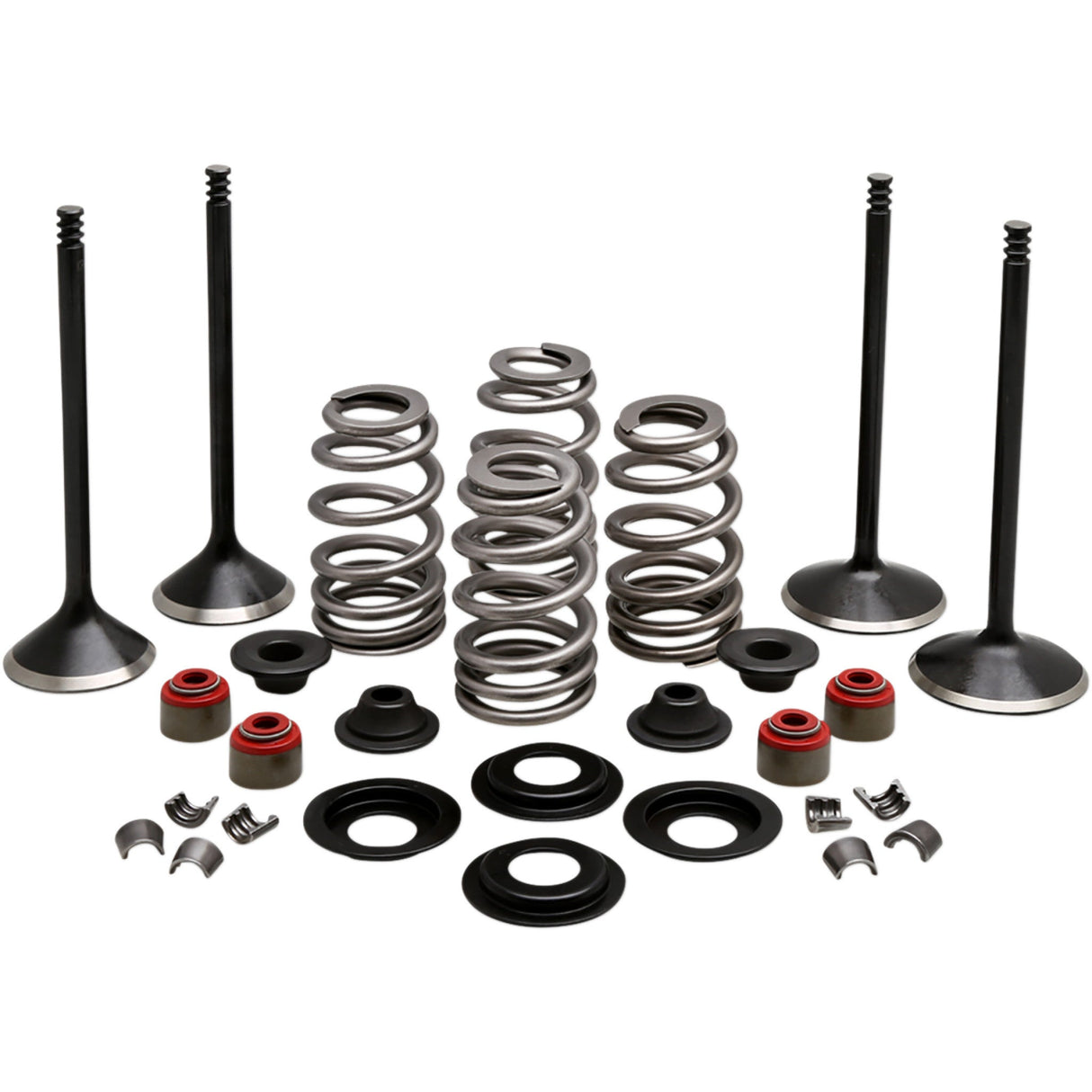 KIBBLEWHITE 0926-3216 20-22950 Engine Kit Complete Valve Kit - Evolution/1200