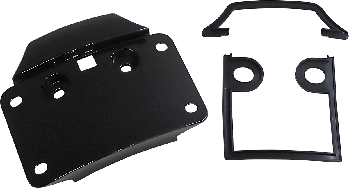 Radius License Plate Mount Assembly for CVO™