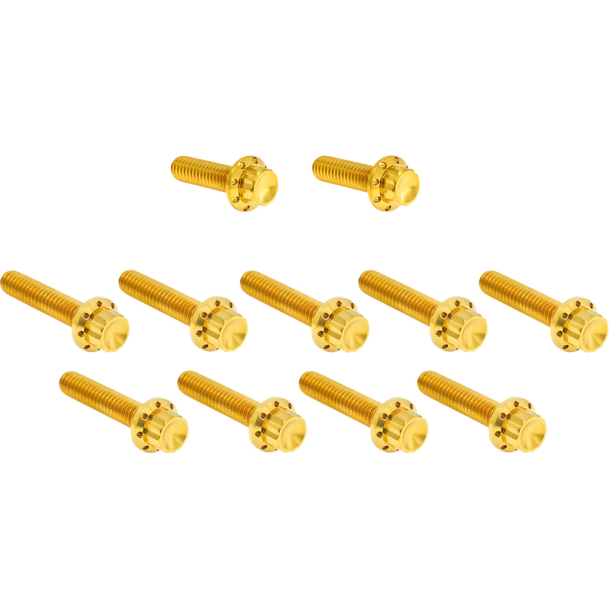 Arlen Ness Cam Cover Point Cover Titanium 12-Point Bolt Kit Gold - 300-982 For Harley Road Glide / Touring / Softail / Street Glide 2023-2026