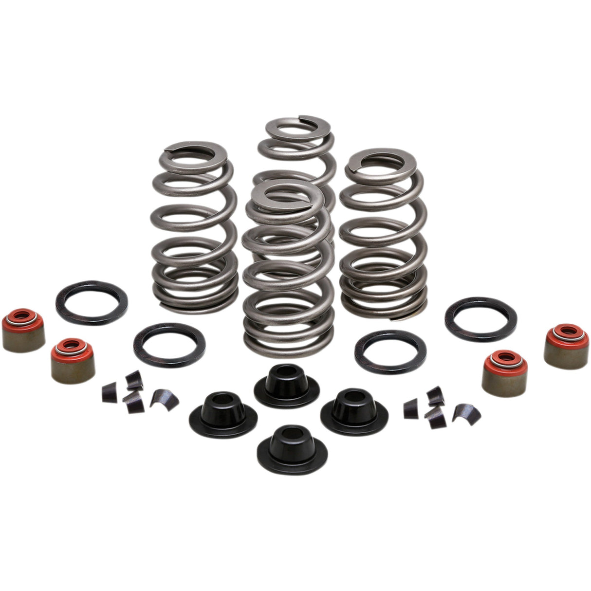 KIBBLEWHITE 0926-3002 20-21550 Valve Spring Kit Spring Kit - .660" - Twin Cam