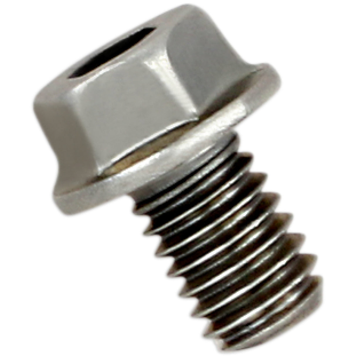 AKRAPOVIC 1860-1146 P-FB40 Replacement Exhaust Bolt — Bolt Replacement Exhaust Bolt