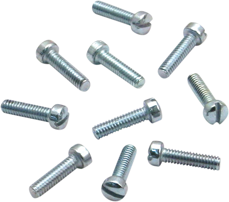 Slotted Screws