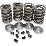 KIBBLEWHITE 0926-0807 20-2215 Valve Spring Kit Valve Springs - XL