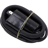 RICK'S MOTORSPORT ELECTRIC 2102-0404 23-302 Coil ignition  - suzuki