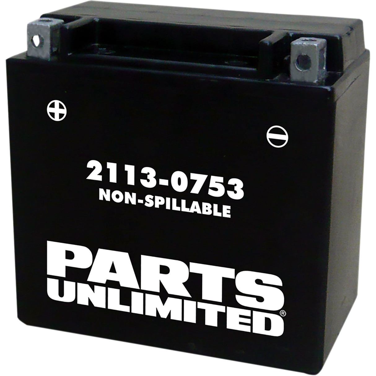 Parts Unlimited AGM Maintenance-Free Battery YTX14 For BMW Motorcycles 2007-2022 | Kawasaki Motorcycles 1995-2018 | Aprilia Motorcycles 2007-2017