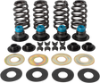 Valve Spring Kit