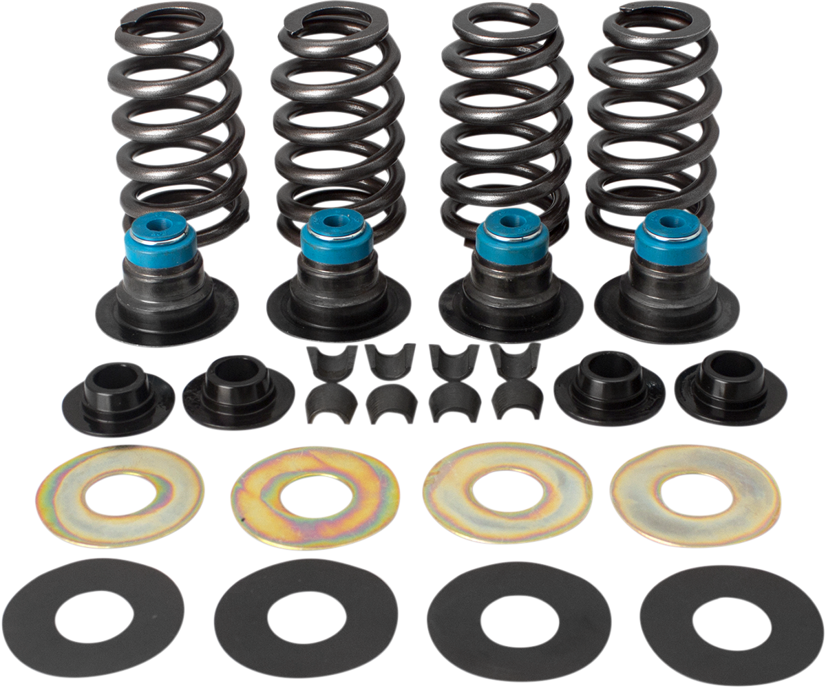 Valve Spring Kit