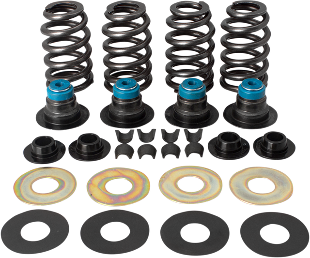 Valve Spring Kit