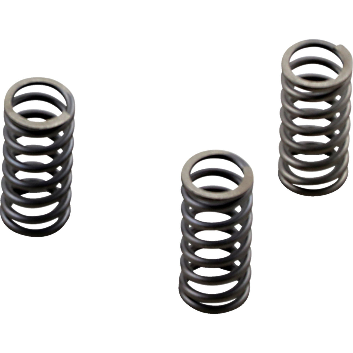 Ebc CSK Series Spring Set - CSK236 For Harley Motorcycles 2017-2024