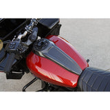 ARLEN NESS 2330-0336 220-011 TANK DASH, CARBON FIBER 24+FLT