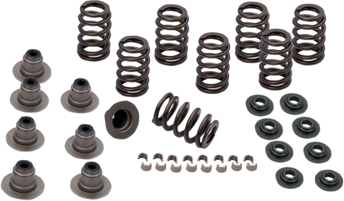 Valve Spring Kit