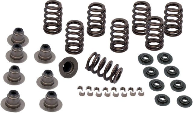 Valve Spring Kit