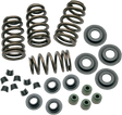 Sidewinder® .650" Valve Spring Kit