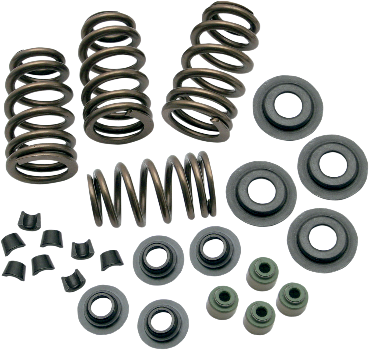 Sidewinder® .650" Valve Spring Kit