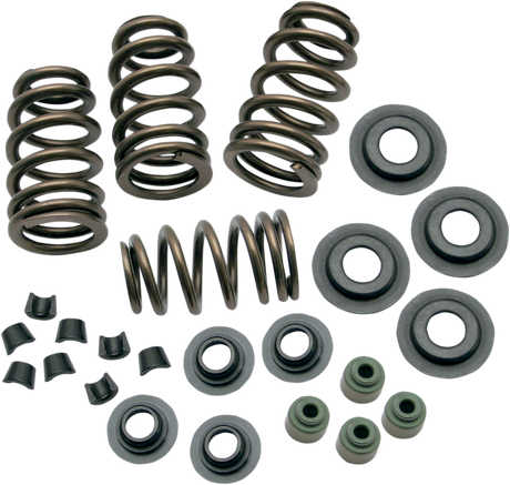 Sidewinder® .650" Valve Spring Kit