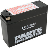 PARTS UNLIMITED 2113-0217 Factory-Activated AGM Maintenance-Free Battery AGM Battery - YT4B-BS