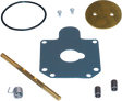 Carburetor Rebuild Kit