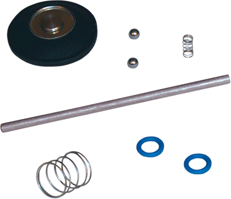 Accelerator Pump Rebuild Kit