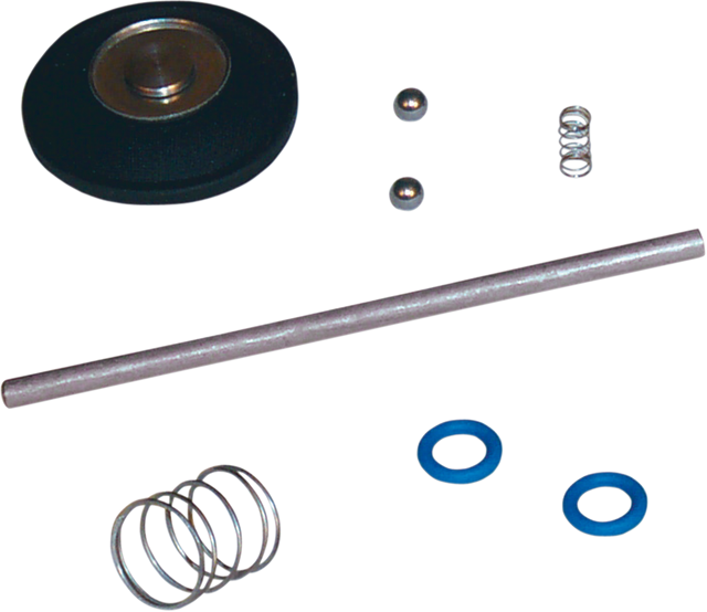 Accelerator Pump Rebuild Kit