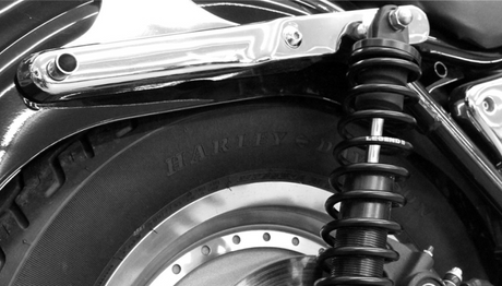 Legend Suspensions - Legend REVO Coil Suspension For FXR Models - 13.00" - 1310-1101